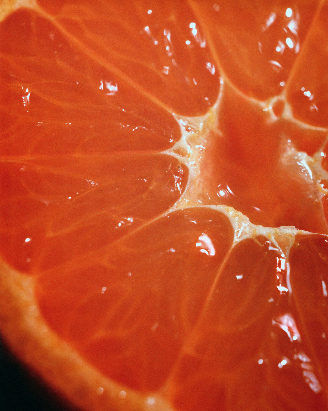 Body Spritz - 图片 7