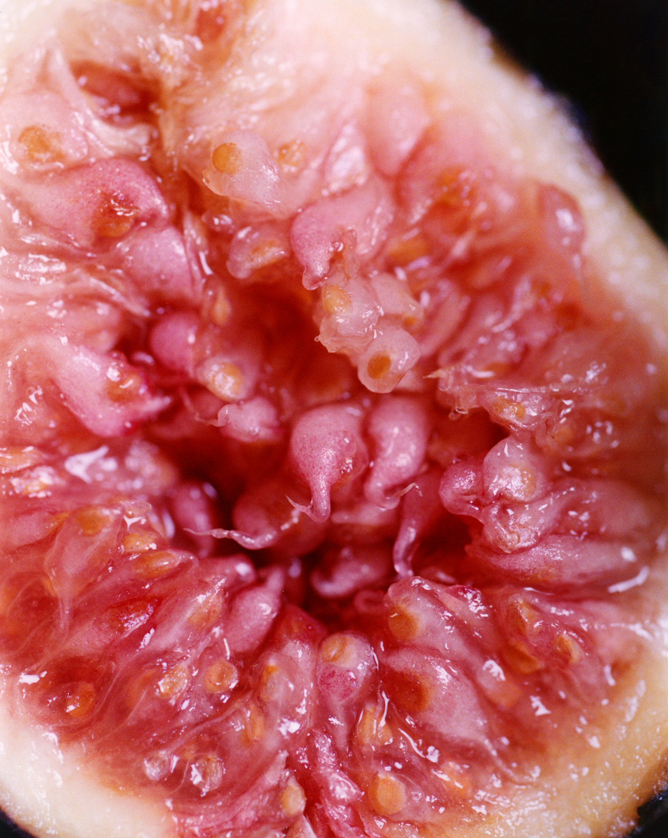 Body Spritz - 图片 17