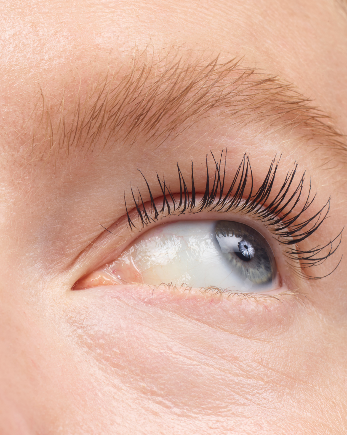 Boy Brow - 图片 32