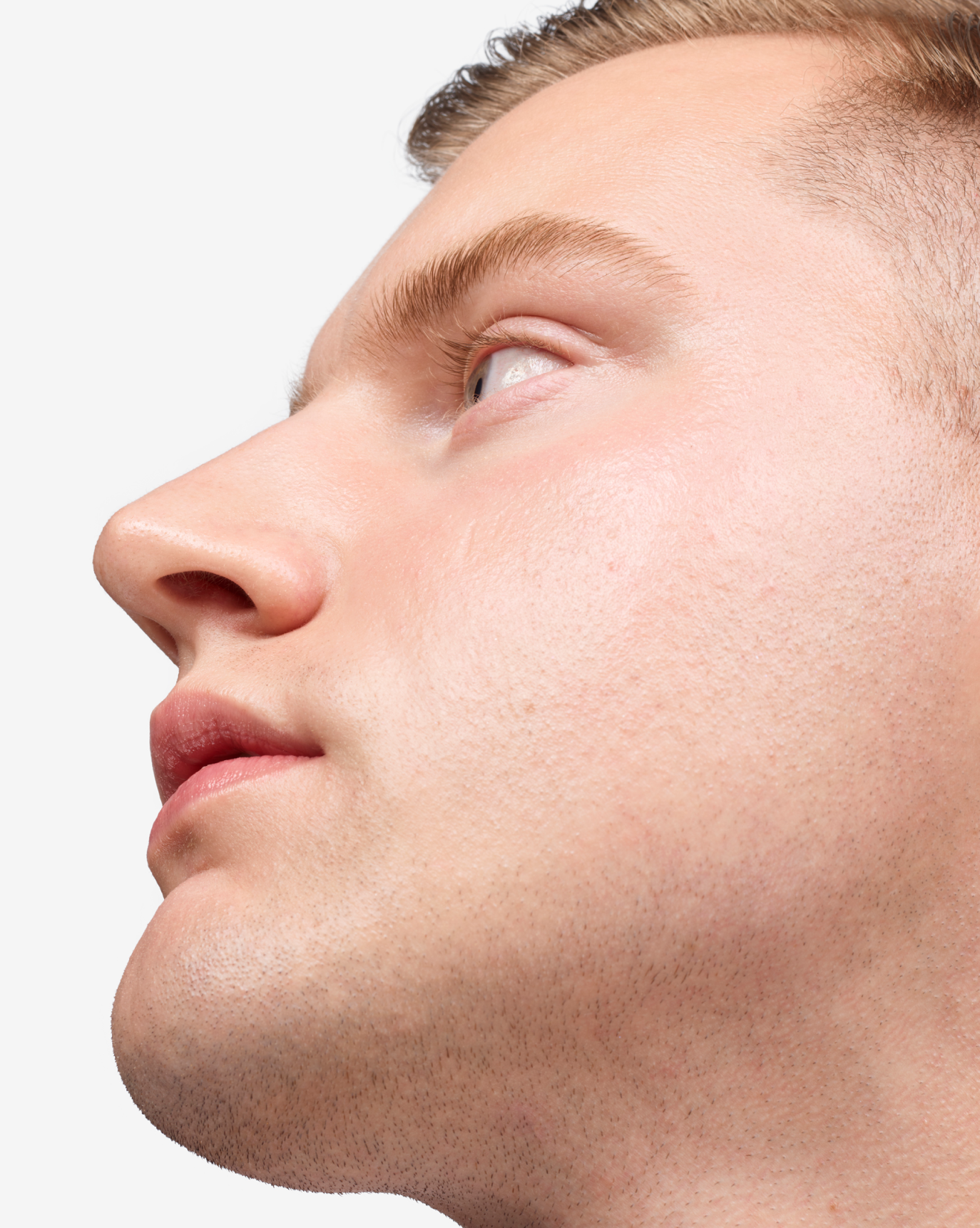 Boy Brow - 图片 36