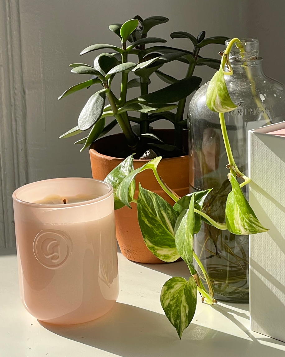 Glossier Candles - 图片 6