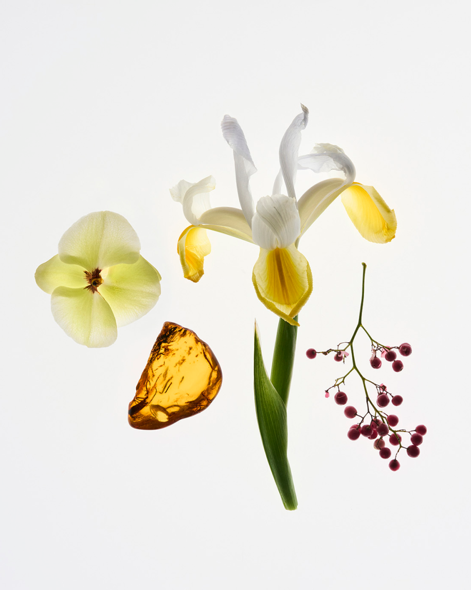 Glossier Candles - 图片 2