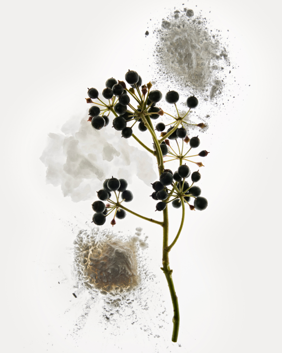 Deodorant - 图片 4