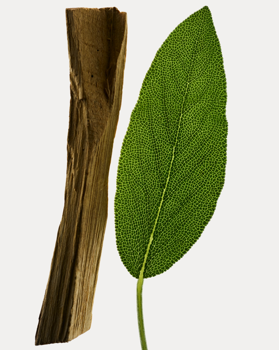 Deodorant Refill Stick - 图片 11