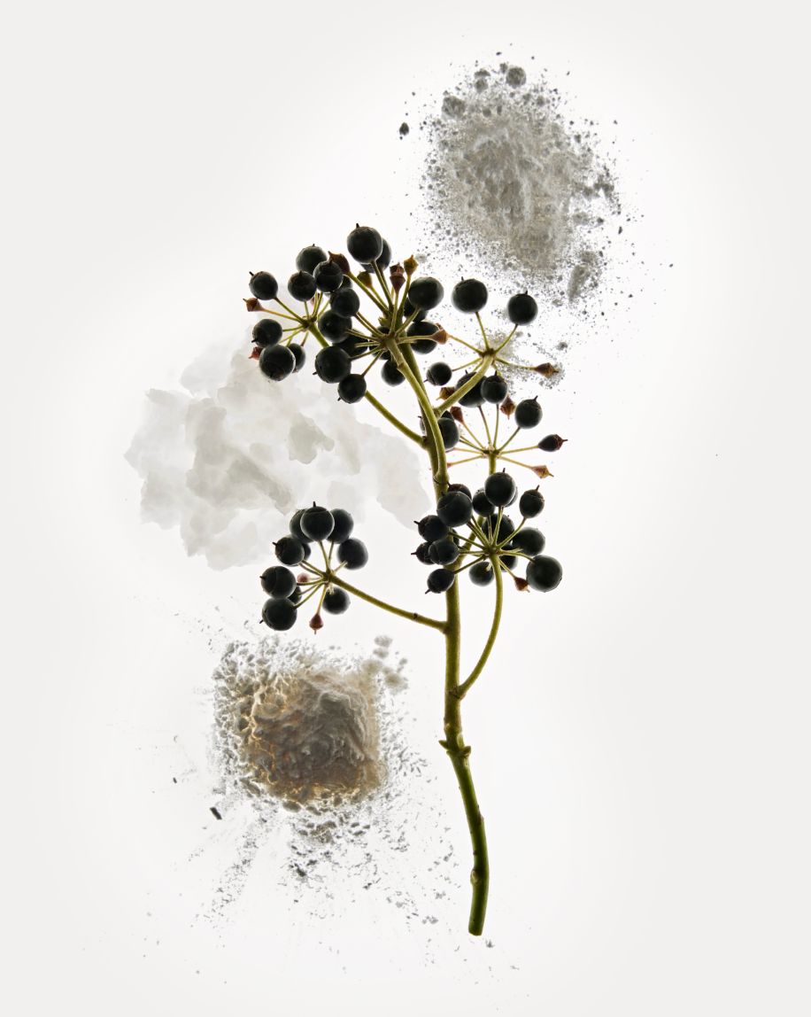 Deodorant Refill Stick - 图片 4