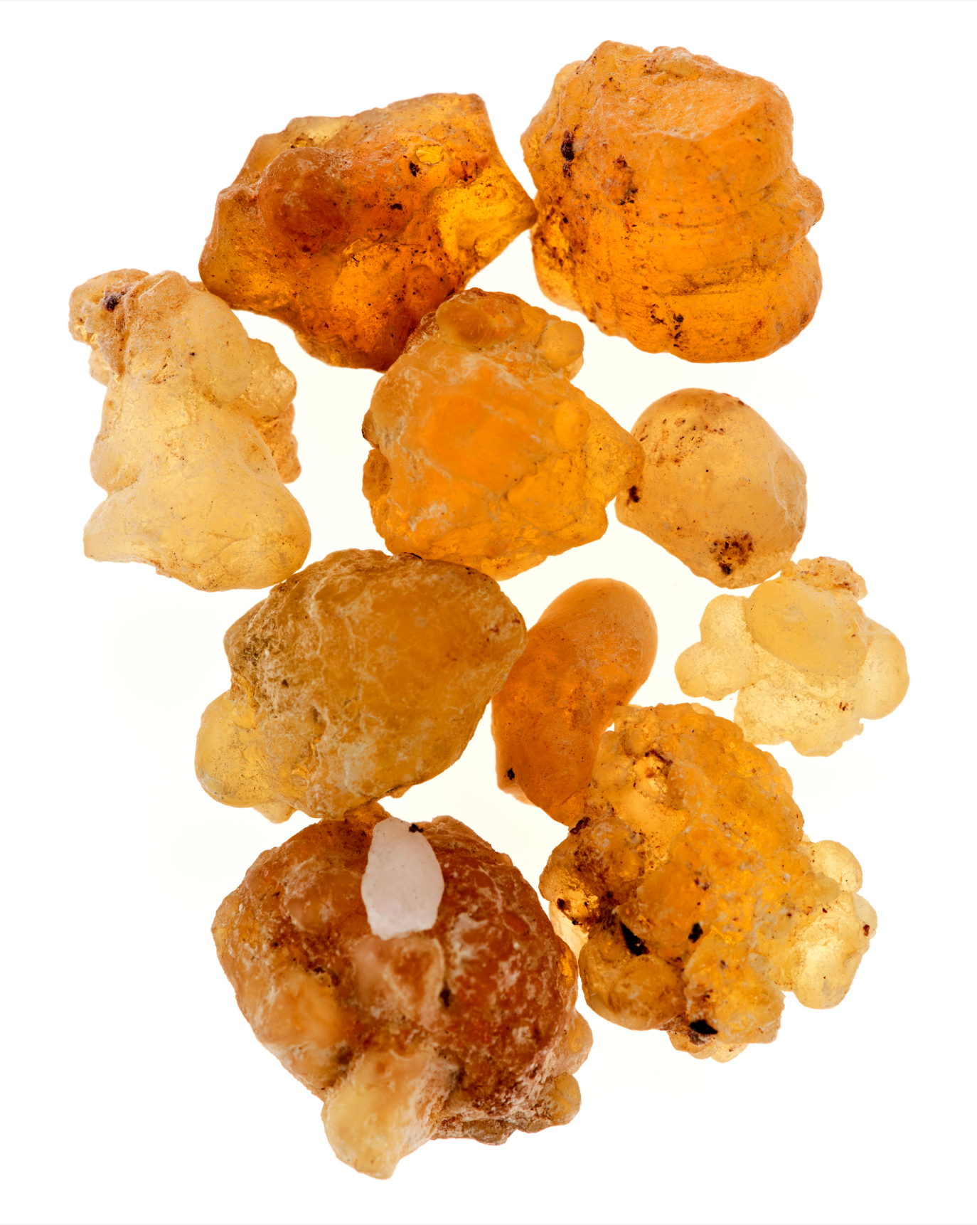 Glossier You Doux - Image 9