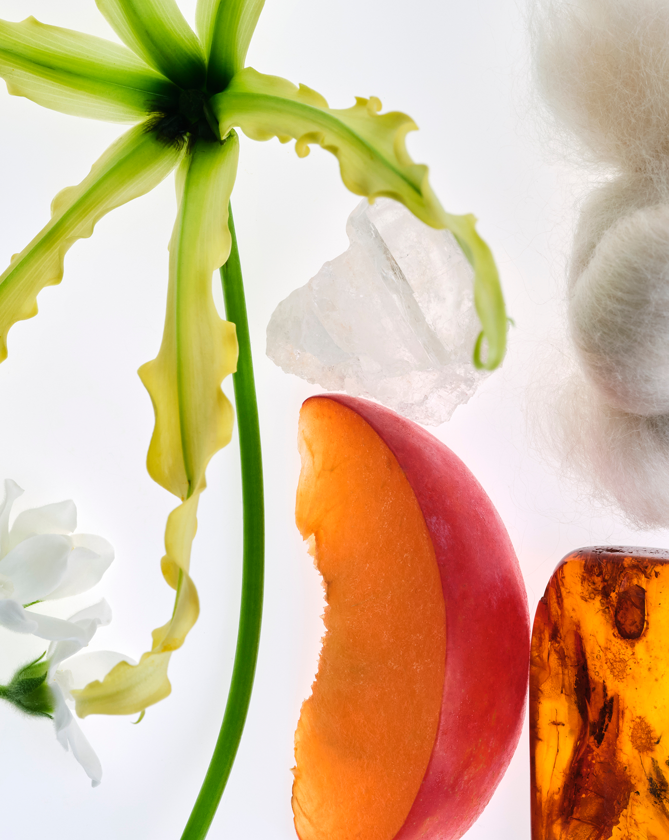 Glossier You Fleur - 图片 13