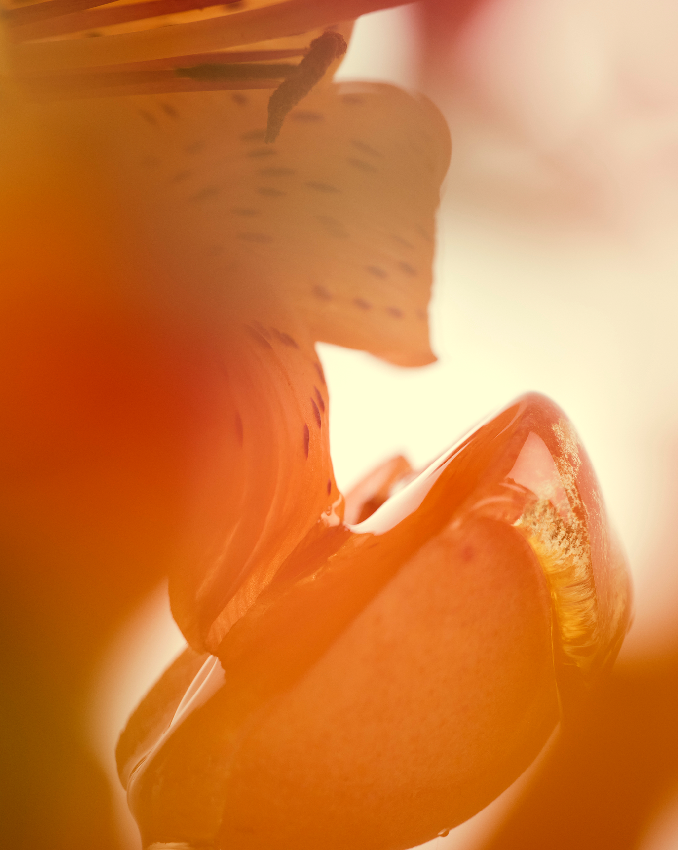 Body Spritz - 图片 24