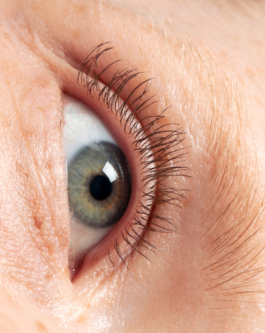 Lash Slick - 图片 11