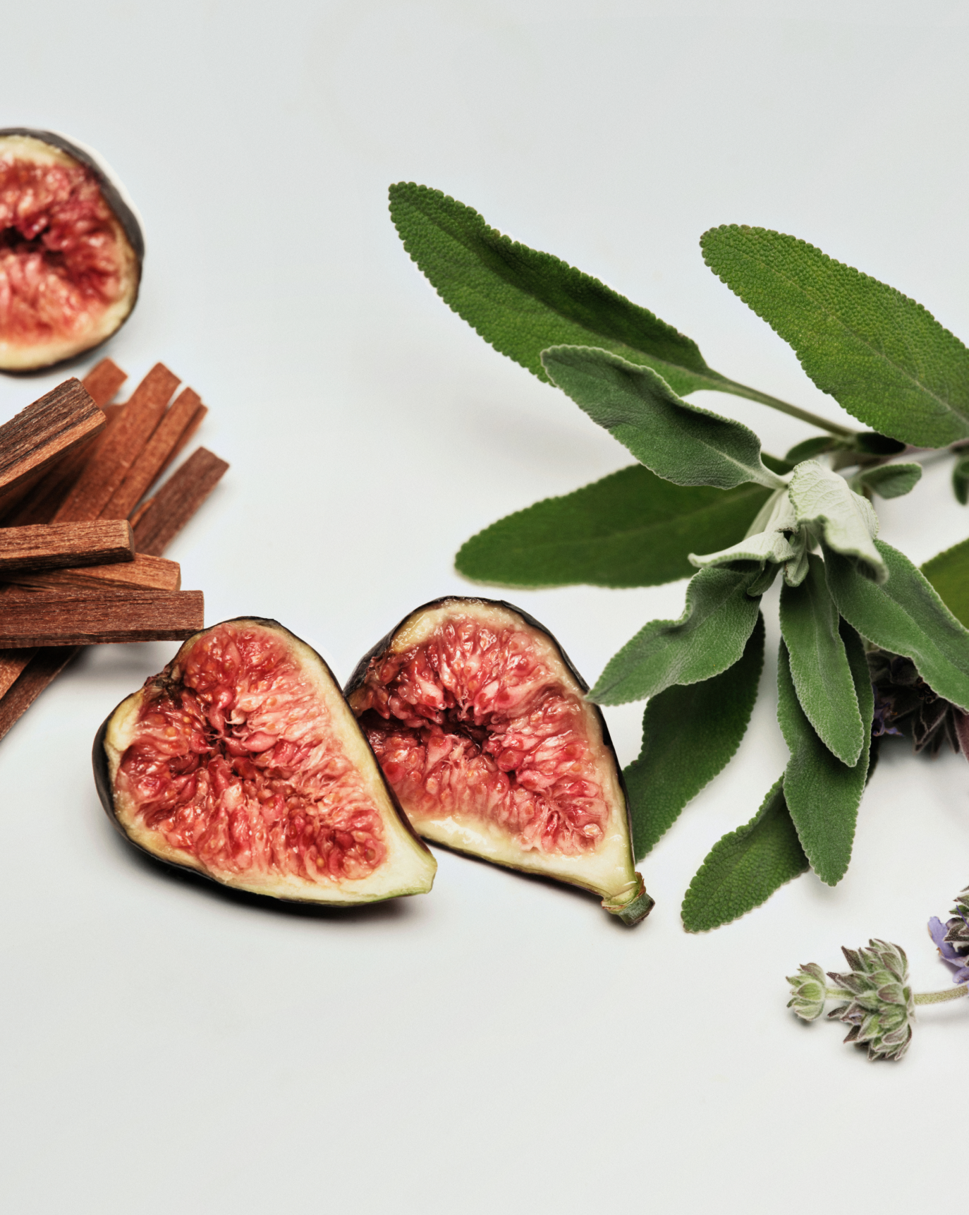 Daily Perfecting Lotion - 图片 13