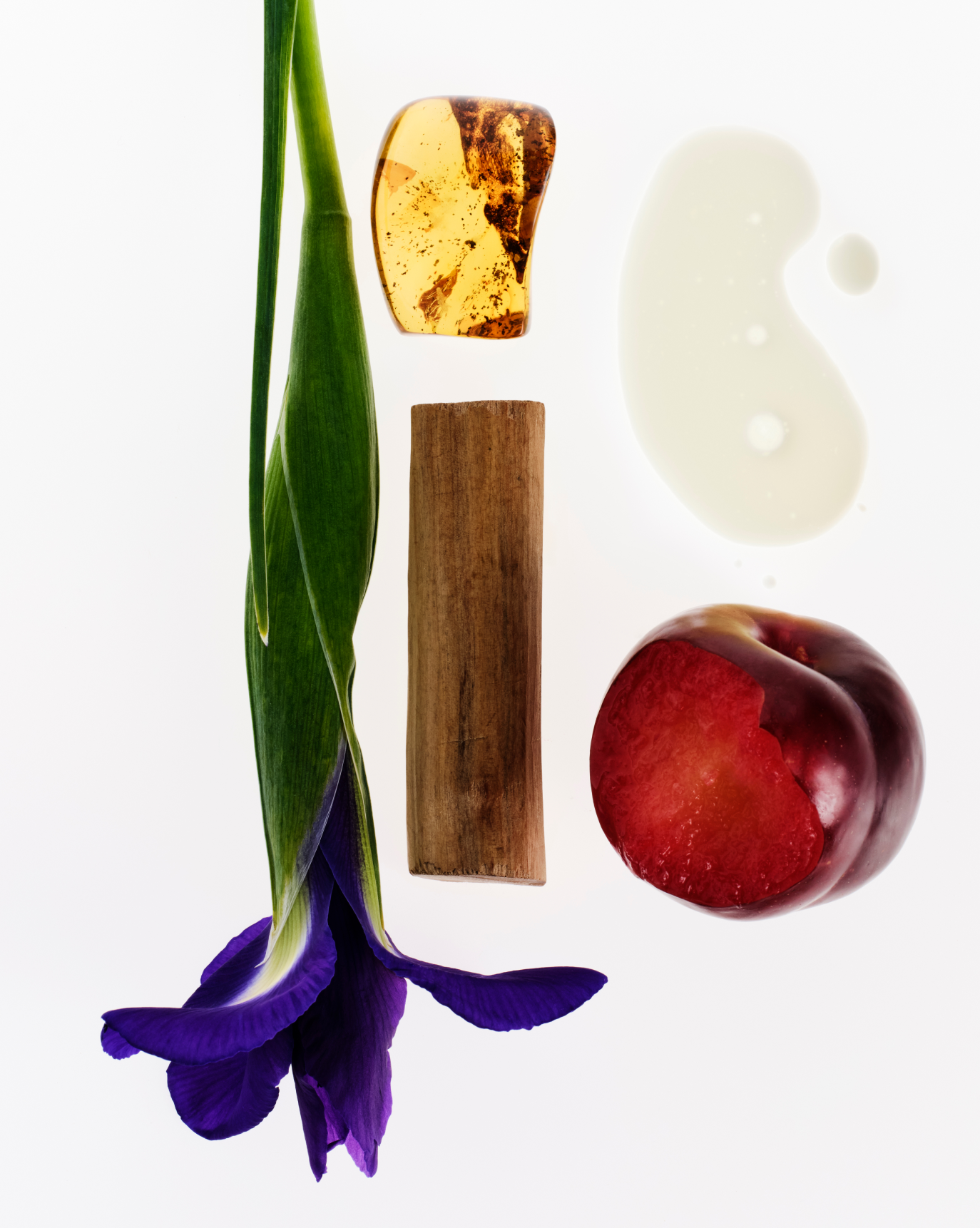 Glossier You Rêve - 图片 8