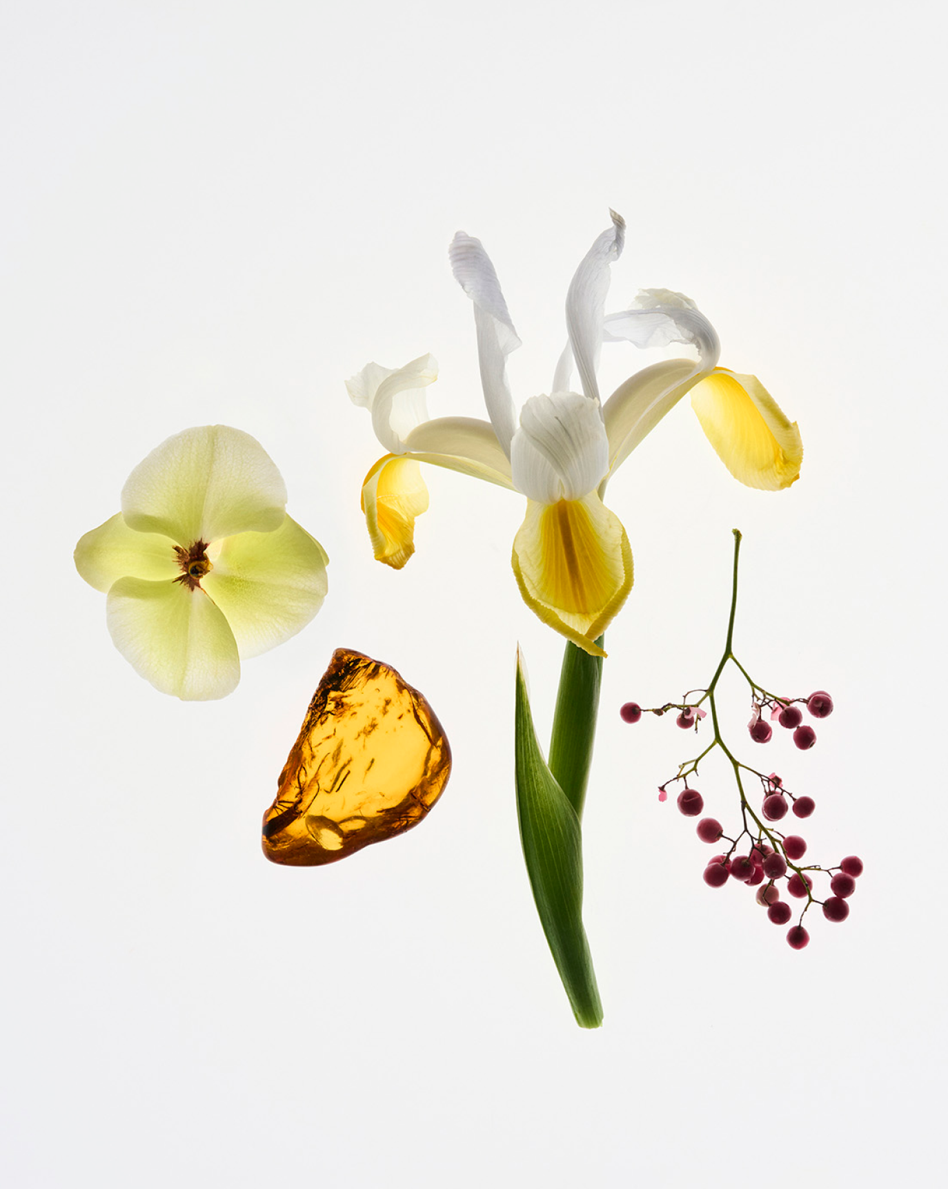 Glossier You - 图片 3