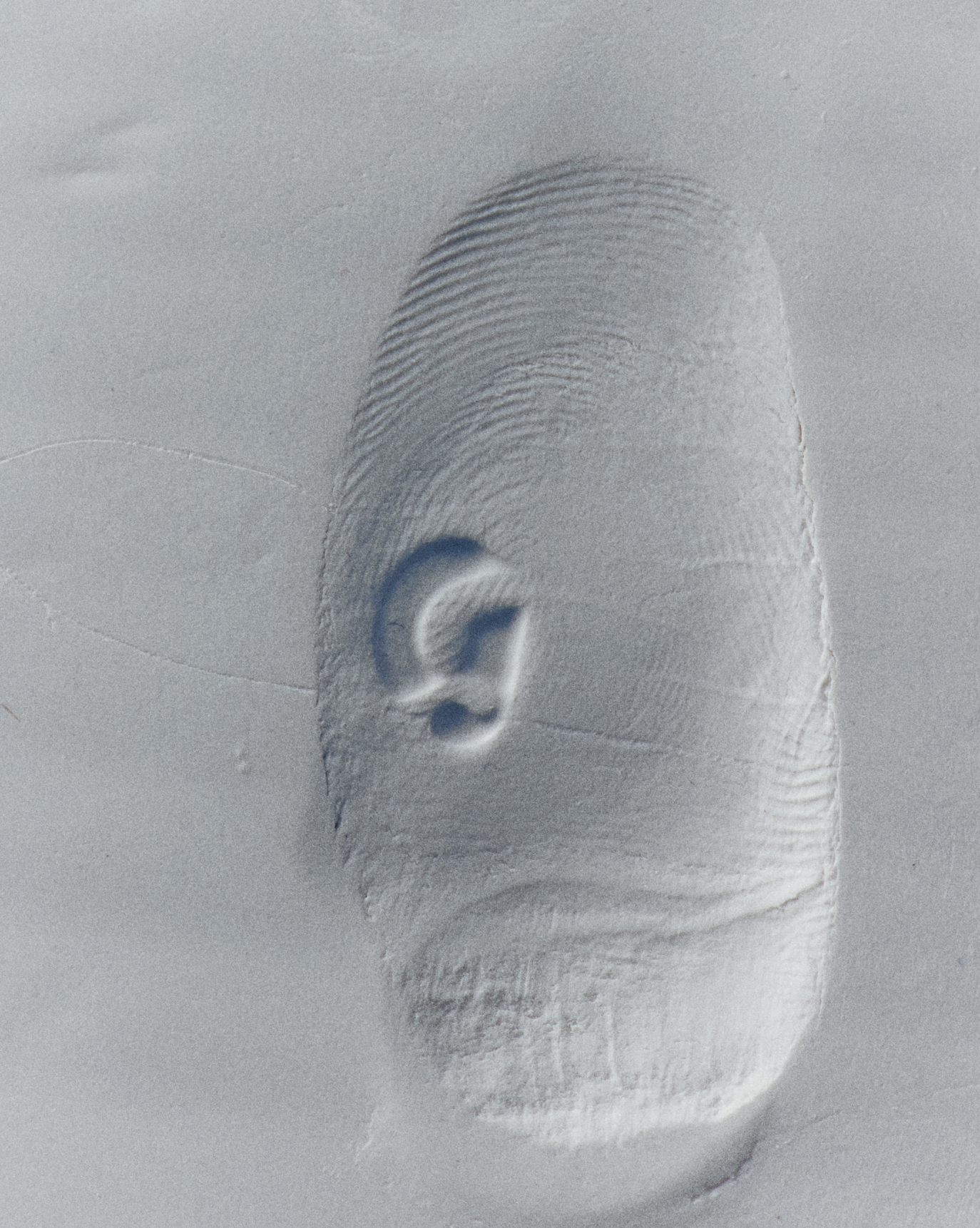 Glossier You - 图片 16